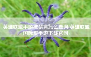 英雄联盟手游被禁言怎么查询(英雄联盟国际服手游下载官网)