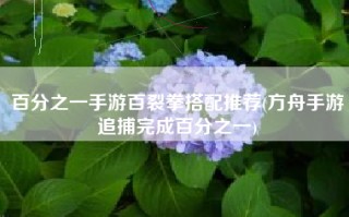 百分之一手游百裂拳搭配推荐(方舟手游追捕完成百分之一)
