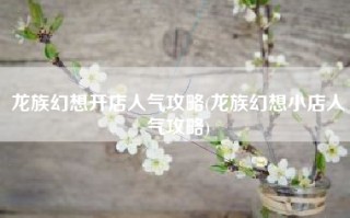 龙族幻想开店人气攻略(龙族幻想小店人气攻略)