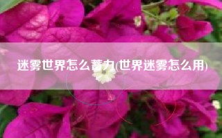迷雾世界怎么蓄力(世界迷雾怎么用)