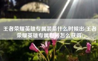 王者荣耀英雄专属装备什么时候出(王者荣耀英雄专属称号怎么获得)
