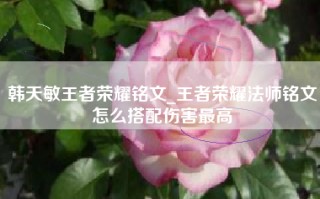 韩天敏王者荣耀铭文_王者荣耀法师铭文怎么搭配伤害最高