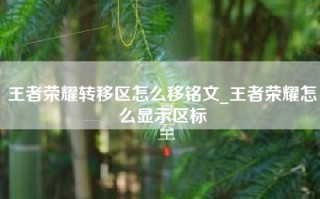 王者荣耀转移区怎么移铭文_王者荣耀怎么显示区标