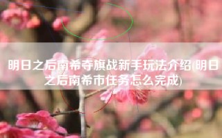 明日之后南希夺旗战新手玩法介绍(明日之后南希市任务怎么完成)