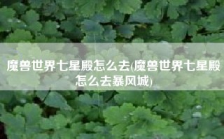 魔兽世界七星殿怎么去(魔兽世界七星殿怎么去暴风城)