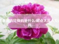 甜点消消兑换码是什么(甜点大乱入兑换码)