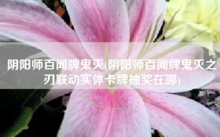 阴阳师百闻牌鬼灭(阴阳师百闻牌鬼灭之刃联动实体卡牌抽奖在哪)