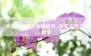 5岁孩子学数学游戏软件,5岁宝宝怎么学数学