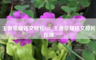王者荣耀铭文碎片S28_王者荣耀铭文碎片在哪