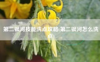 第二银河技能洗点攻略(第二银河怎么洗点)
