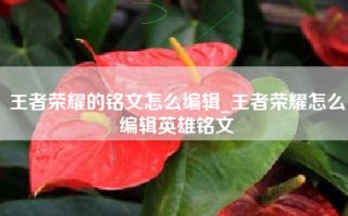 王者荣耀的铭文怎么编辑_王者荣耀怎么编辑英雄铭文