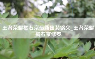 王者荣耀橘右京最新出装铭文_王者荣耀橘右京修罗