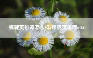 螺旋英雄谭怎么样(螺旋英雄谭wiki)