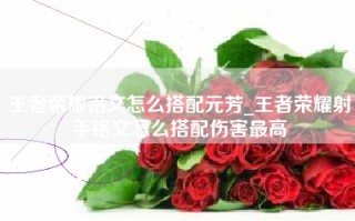 王者荣耀铭文怎么搭配元芳_王者荣耀射手铭文怎么搭配伤害最高