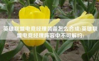 英雄联盟电竞经理装备怎么合成(英雄联盟电竞经理阵容中不可解约)