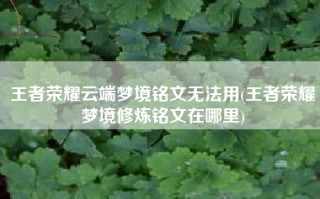 王者荣耀云端梦境铭文无法用(王者荣耀梦境修炼铭文在哪里)