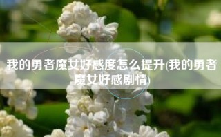 我的勇者魔女好感度怎么提升(我的勇者魔女好感剧情)