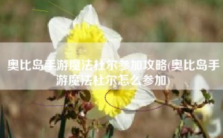 奥比岛手游魔法杜尔参加攻略(奥比岛手游魔法杜尔怎么参加)