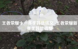 王者荣耀十一赛季韩信铭文_王者荣耀新赛季韩信调整