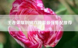 王者荣耀荆轲六神装最强搭配推荐