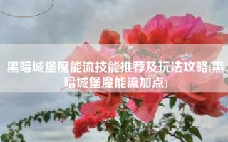 黑暗城堡魔能流技能推荐及玩法攻略(黑暗城堡魔能流加点)