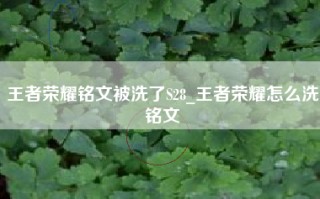 王者荣耀铭文被洗了S28_王者荣耀怎么洗铭文