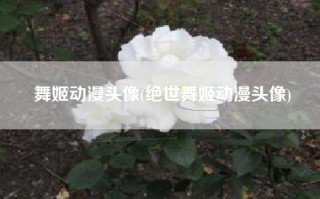 舞姬动漫头像(绝世舞姬动漫头像)