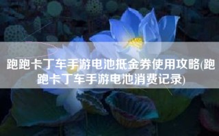 跑跑卡丁车手游电池抵金券使用攻略(跑跑卡丁车手游电池消费记录)