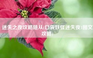 迷失之夜攻略随从(口袋妖怪迷失夜1图文攻略)