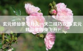 玄元修仙录飞升天一天二技巧攻略(玄元修仙录肉身飞升)