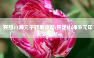 妄想山海元子获取攻略(妄想山海破元印怎么获取)