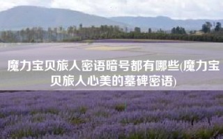 魔力宝贝旅人密语暗号都有哪些(魔力宝贝旅人心美的墓碑密语)