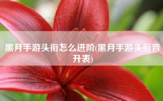 黑月手游头衔怎么进阶(黑月手游头衔晋升表)