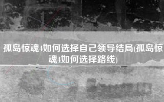 孤岛惊魂4如何选择自己领导结局(孤岛惊魂4如何选择路线)
