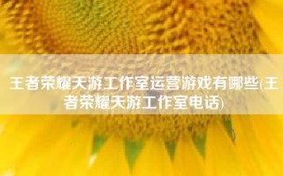 王者荣耀天游工作室运营游戏有哪些(王者荣耀天游工作室电话)