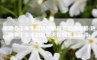 跑跑卡丁车手游跑跑躺赢节活动攻略(跑跑卡丁车手游跑跑天花板怎么获得)
