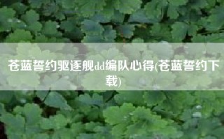 苍蓝誓约驱逐舰dd编队心得(苍蓝誓约下载)
