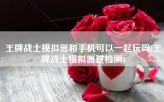 王牌战士模拟器和手机可以一起玩吗(王牌战士模拟器过检测)