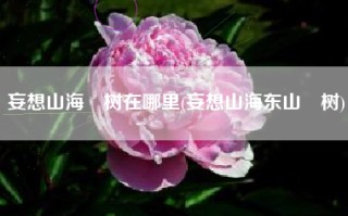 妄想山海杻树在哪里(妄想山海东山杻树)