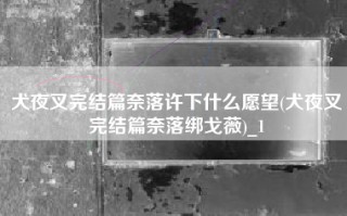 犬夜叉完结篇奈落许下什么愿望(犬夜叉完结篇奈落绑戈薇)_1