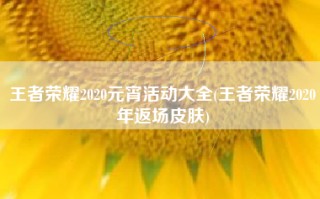 王者荣耀2020元宵活动大全(王者荣耀2020年返场皮肤)