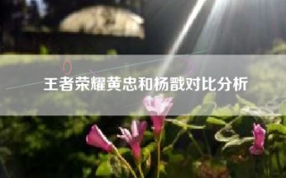 王者荣耀黄忠和杨戬对比分析