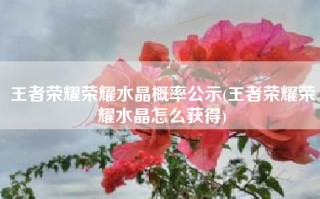 王者荣耀荣耀水晶概率公示(王者荣耀荣耀水晶怎么获得)