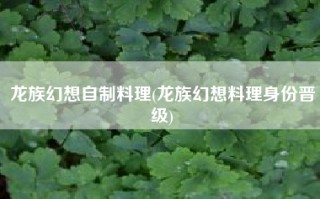 龙族幻想自制料理(龙族幻想料理身份晋级)