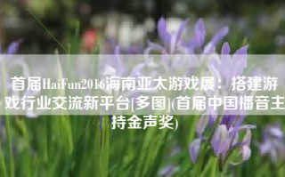 首届HaiFun2016海南亚太游戏展：搭建游戏行业交流新平台[多图](首届中国播音主持金声奖)