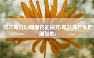 风云岛行动翩翩技能揭开(风云岛行动翩翩倒地)