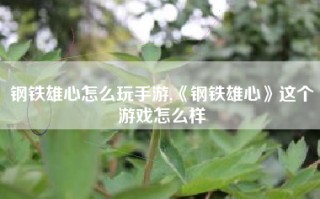 钢铁雄心怎么玩手游,《钢铁雄心》这个游戏怎么样
