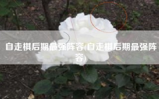 自走棋后期最强阵容(自走棋后期最强阵容)