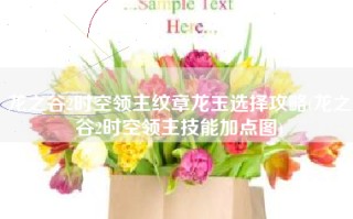 龙之谷2时空领主纹章龙玉选择攻略(龙之谷2时空领主技能加点图)