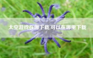 太空游戏在哪下载,可以在哪里下载